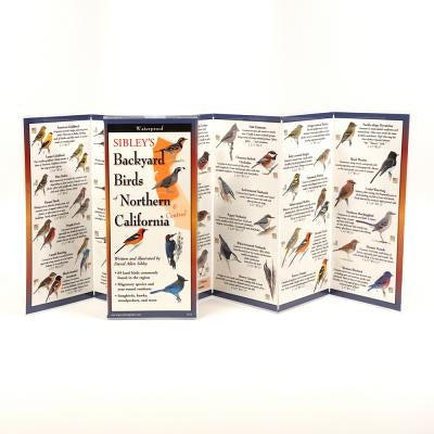 Sibley's Back. Birds of Northern California by Sibley, David Allen