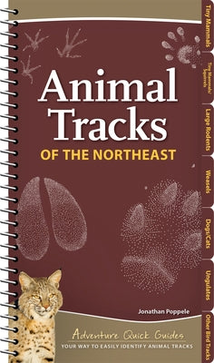 Animal Tracks of the Northeast: Your Way to Easily Identify Animal Tracks by Poppele, Jonathan