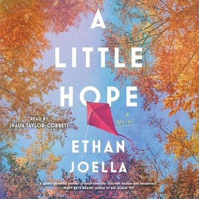 A Little Hope by Joella, Ethan
