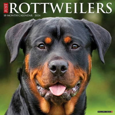 Just Rottweilers 2024 12 X 12 Wall Calendar by Willow Creek Press