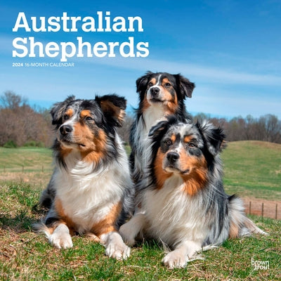 Australian Shepherds 2024 Square by Browntrout