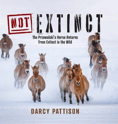 NOT Extinct: The Przewalski's Horse Returns from Extinct in the Wild by Pattison, Darcy