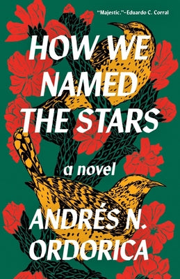 How We Named the Stars by Ordorica, AndrÃ©s N.