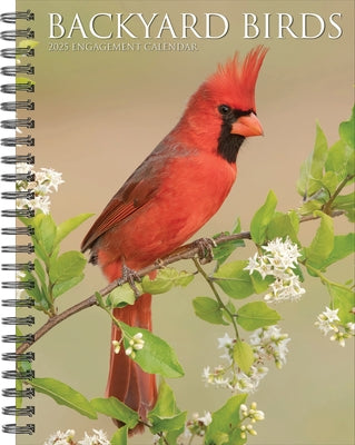 Backyard Birds 2025 6.5 X 8.5 Engagement Calendar by Willow Creek Press