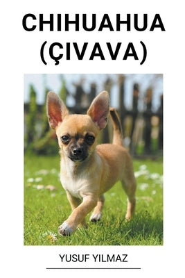 Chihuahua (Çivava) by Yilmaz, Yusuf