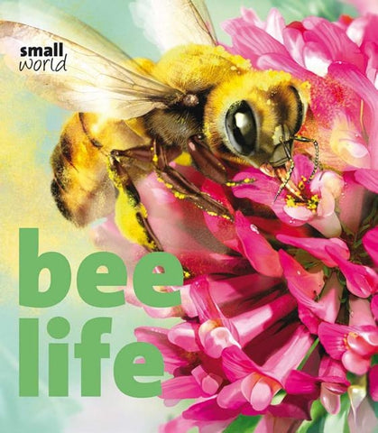 Bee Life by Evans, Lynette