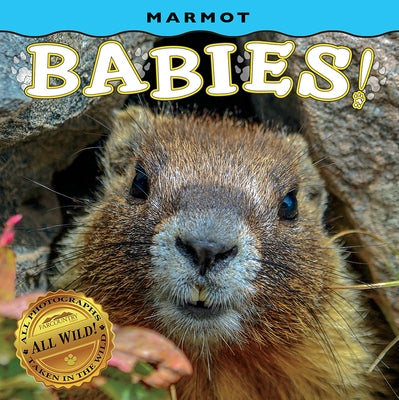 Marmot Babies! by Frye, Lea