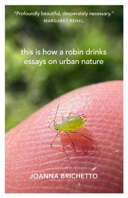 This Is How a Robin Drinks: Essays on Urban Nature by Brichetto, Joanna