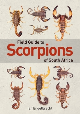 Field Guide to Scorpions of South Africa by Engelbrecht, Ian