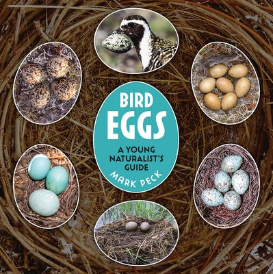 Bird Eggs: A Young Naturalist's Guide by Peck, Mark