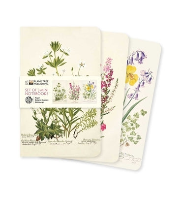 Royal Botanic Garden Edinburgh Set of 3 Mini Notebooks by Flame Tree Studio