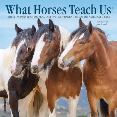 What Horses Teach Us 2024 7 X 7 Mini Wall Calendar by Willow Creek Press