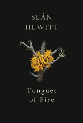 Tongues of Fire by Hewitt, Se&#225;n