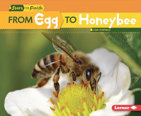 From Egg to Honeybee by Owings, Lisa