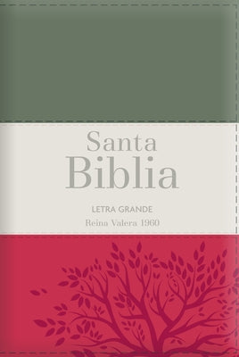 Biblia Rvr60 Letra Grande - Tamaño Manual / Tricolor: Gris/Crema/Rojo Con Indice Y Cierre (Bible Rvr60 Lp/Pocket Size - Tricolor: Grey/Cream/Red with by Reina Valera 1960