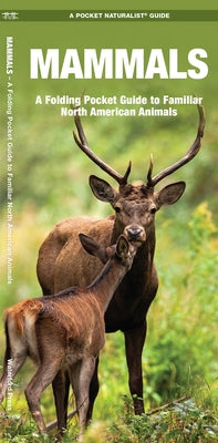 Mammals: An Introduction to Familiar North American Species by Kavanagh, James