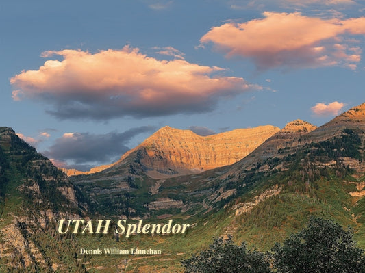 Utah Splendor by Linnehan, Dennis William