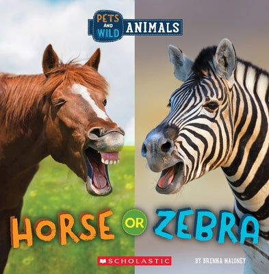 Horse or Zebra (Wild World: Pets and Wild Animals) by Maloney, Brenna