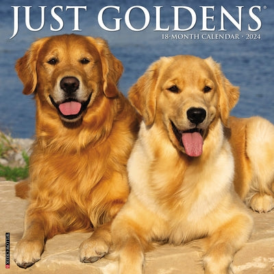 Just Goldens 2024 12 X 12 Wall Calendar by Willow Creek Press