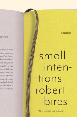 Small Intentions by Bires, Robert Scott