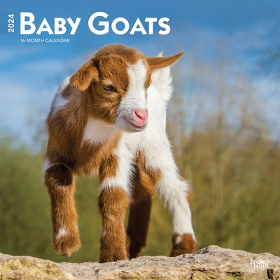 Baby Goats 2024 Square by Browntrout