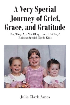 A Very Special Journey of Grief, Grace, and Gratitude: No, They Are Not Okay...but It's Okay! Raising Special Needs Kids by Ames, Julie Clark