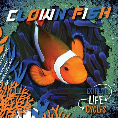 Clown Fish by Andrews, E. C.