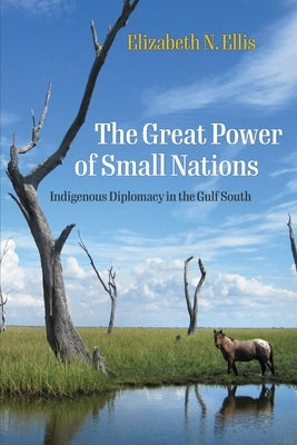 The Great Power of Small Nations: Indigenous Diplomacy in the Gulf South by Ellis, Elizabeth N.