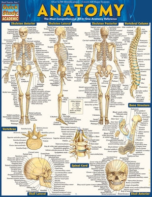Anatomy: Quickstudy Laminated Reference Guide by Perez, Vincent