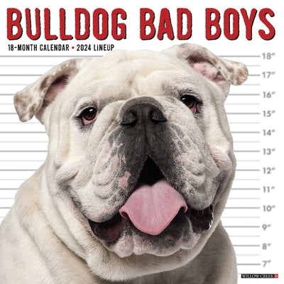 Bulldog Bad Boys 2024 12 X 12 Wall Calendar by Willow Creek Press