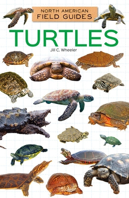 Turtles by Wheeler, Jill C.