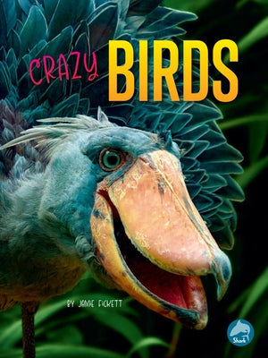 Crazy Birds by Fickett, Jamie