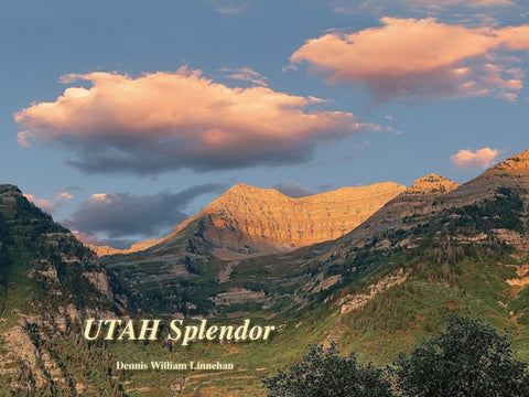 Utah Splendor by Linnehan, Dennis William