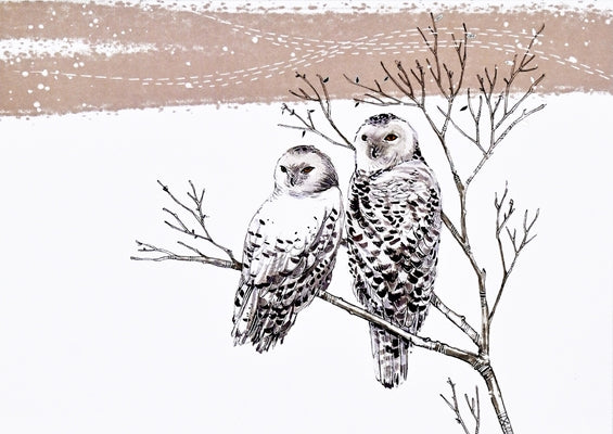 Snowy Owls Deluxe Boxed Holiday Cards by Horsley, Heather