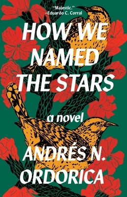 How We Named the Stars by Ordorica, Andr&#233;s N.