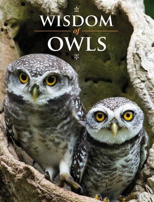 Wisdom of Owls by Purcell, Lisa