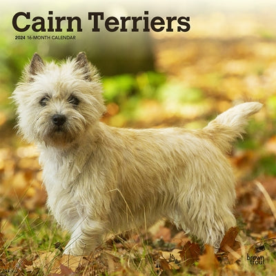 Cairn Terriers 2024 Square by Browntrout