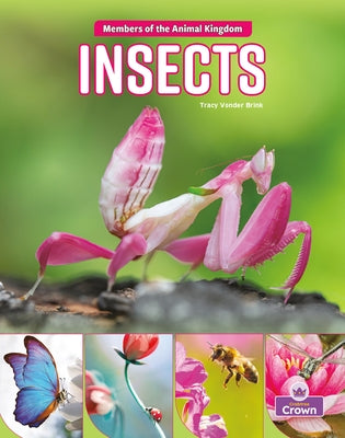 Insects by Brink, Tracy Vonder