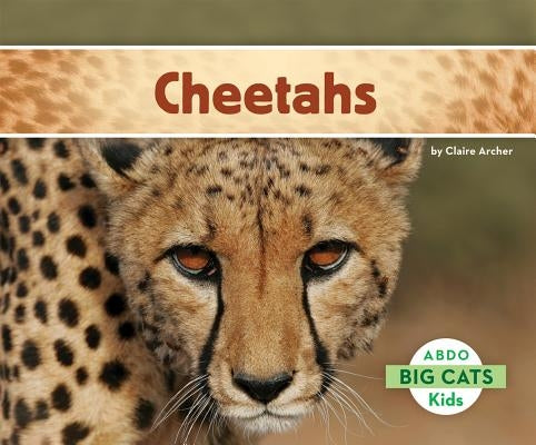 Cheetahs by Archer, Claire