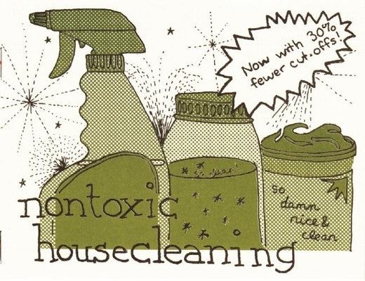 Nontoxic Housecleaning by Briggs, Raleigh