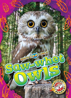 Saw-Whet Owls by Barnes, Rachael