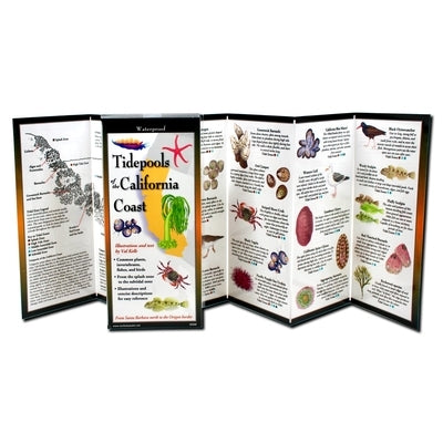 Tidepools of the California Coast by Kells, Val