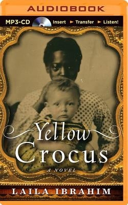 Yellow Crocus by Ibrahim, Laila