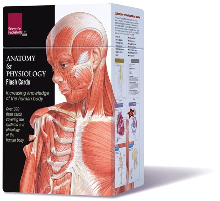 Anatomy & Physiology Flash Cards by Scientific Publishing