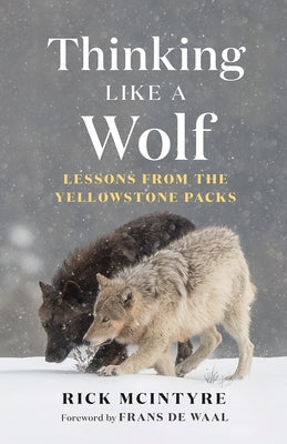 Thinking Like a Wolf: Lessons from the Yellowstone Packs by McIntyre, Rick