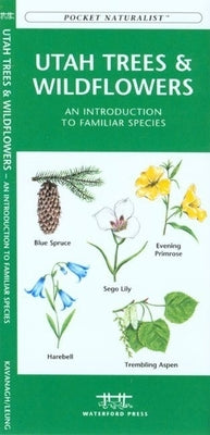 Oregon Trees & Wildflowers: A Folding Pocket Guide to Familiar Plants by Kavanagh, James