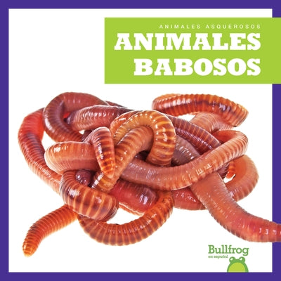 Animales Babosos (Slimy Animals) by Chanez, Katie