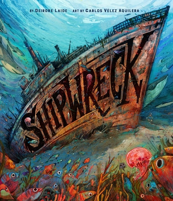 Shipwreck by Laide, Deirdre