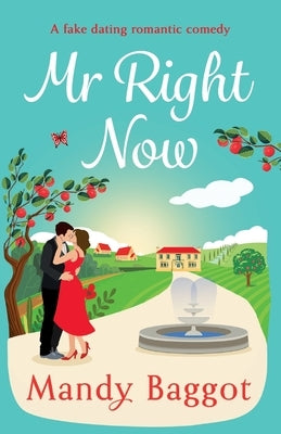 Mr Right Now by Baggot, Mandy