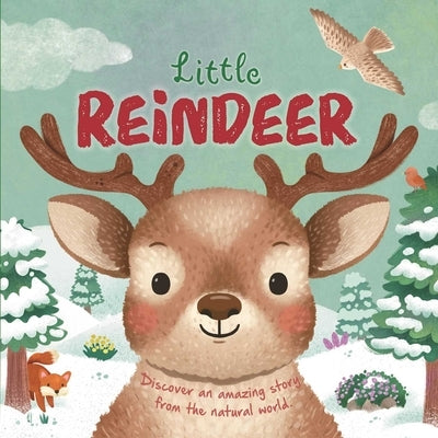 Nature Stories: Little Reindeer by Igloobooks